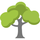 Concord Tree Trimming