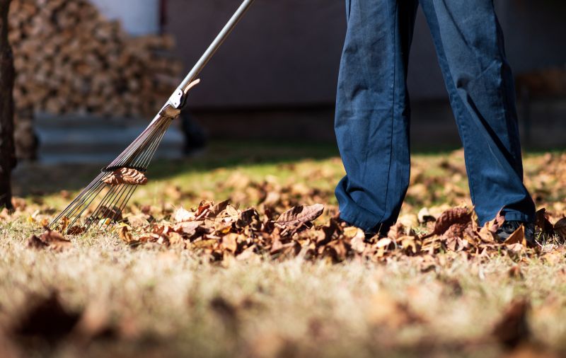 Leaf Raking Techniques