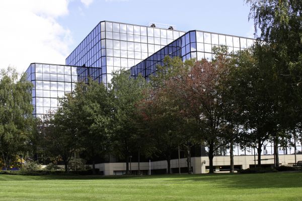 Commercial Tree Trimming in Concord